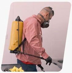 Serviços de Dedetização