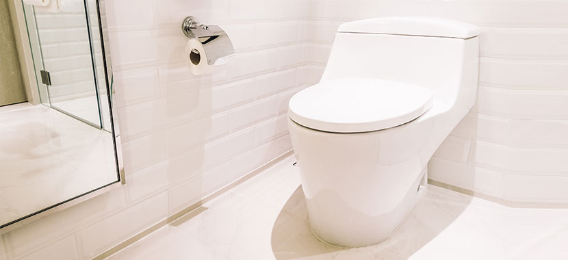 papel higiênico na privada