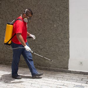 controle de pragas império