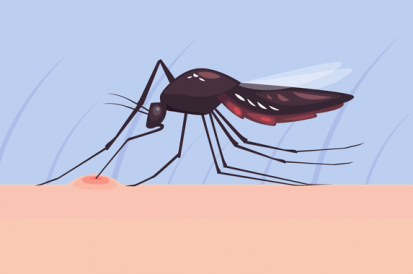 As doenças mais transmitidas por insetos