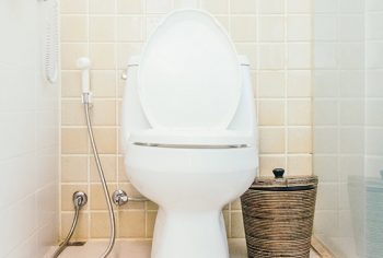3 Mitos sobre como desentupir o vaso sanitário