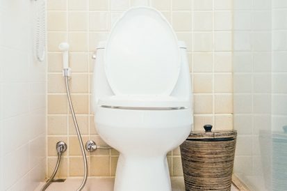 3 Mitos sobre como desentupir o vaso sanitário