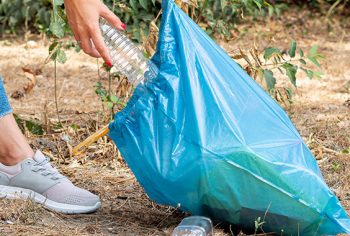 Seja consciente e ajude no controle de pragas do seu bairro