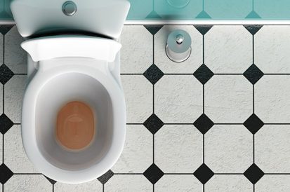 Como desentupir vaso em um minuto?