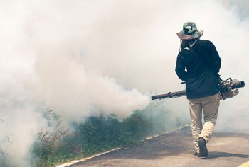 Medida Provisória adiciona Controle de Pragas como atividade essencial à população