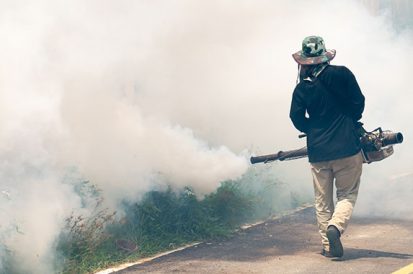 Medida Provisória adiciona Controle de Pragas como atividade essencial à população