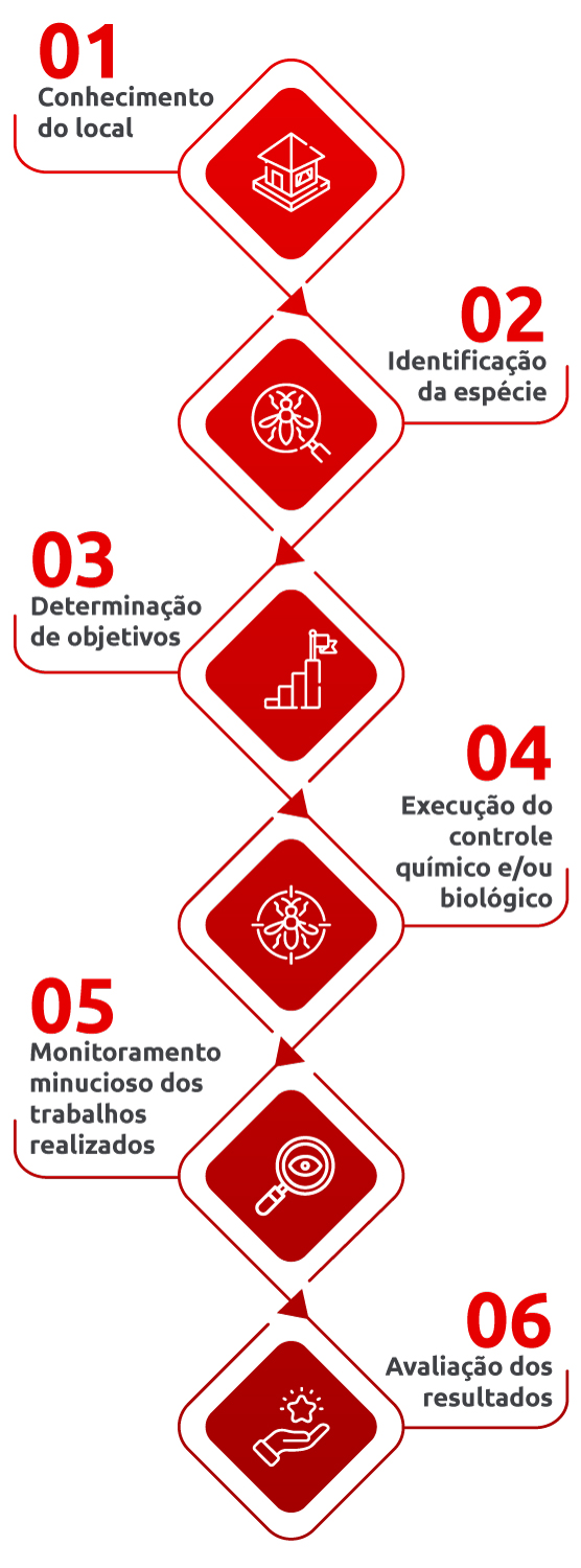 01 - Conhecimento do local; 02 - Identificação da espécie; 03 - Determinação de objetivos; 04 - Execução do controle químico e/ou biológico; 05 - Monitoramento minucioso dos trabalhos realizados; 06 - Avaliação dos resultados.