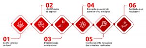 01 - Conhecimento do local; 02 - Identificação da espécie; 03 - Determinação de objetivos; 04 - Execução do controle químico e/ou biológico; 05 - Monitoramento minucioso dos trabalhos realizados; 06 - Avaliação dos resultados.