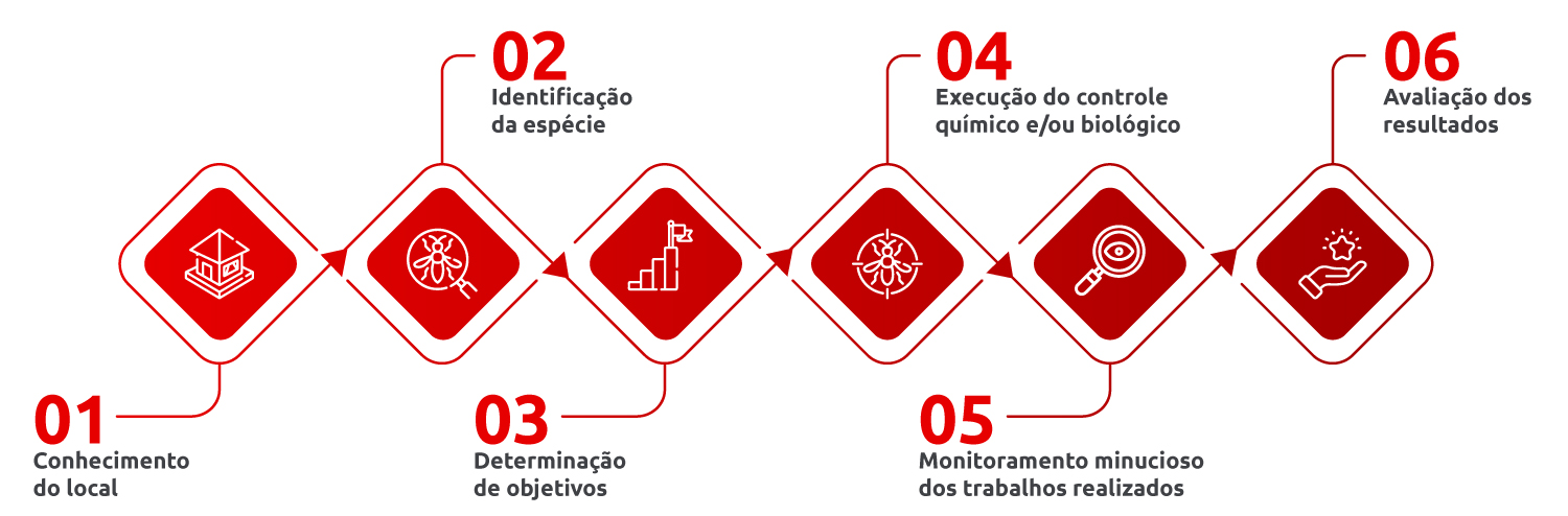 01 - Conhecimento do local; 02 - Identificação da espécie; 03 - Determinação de objetivos; 04 - Execução do controle químico e/ou biológico; 05 - Monitoramento minucioso dos trabalhos realizados; 06 - Avaliação dos resultados.