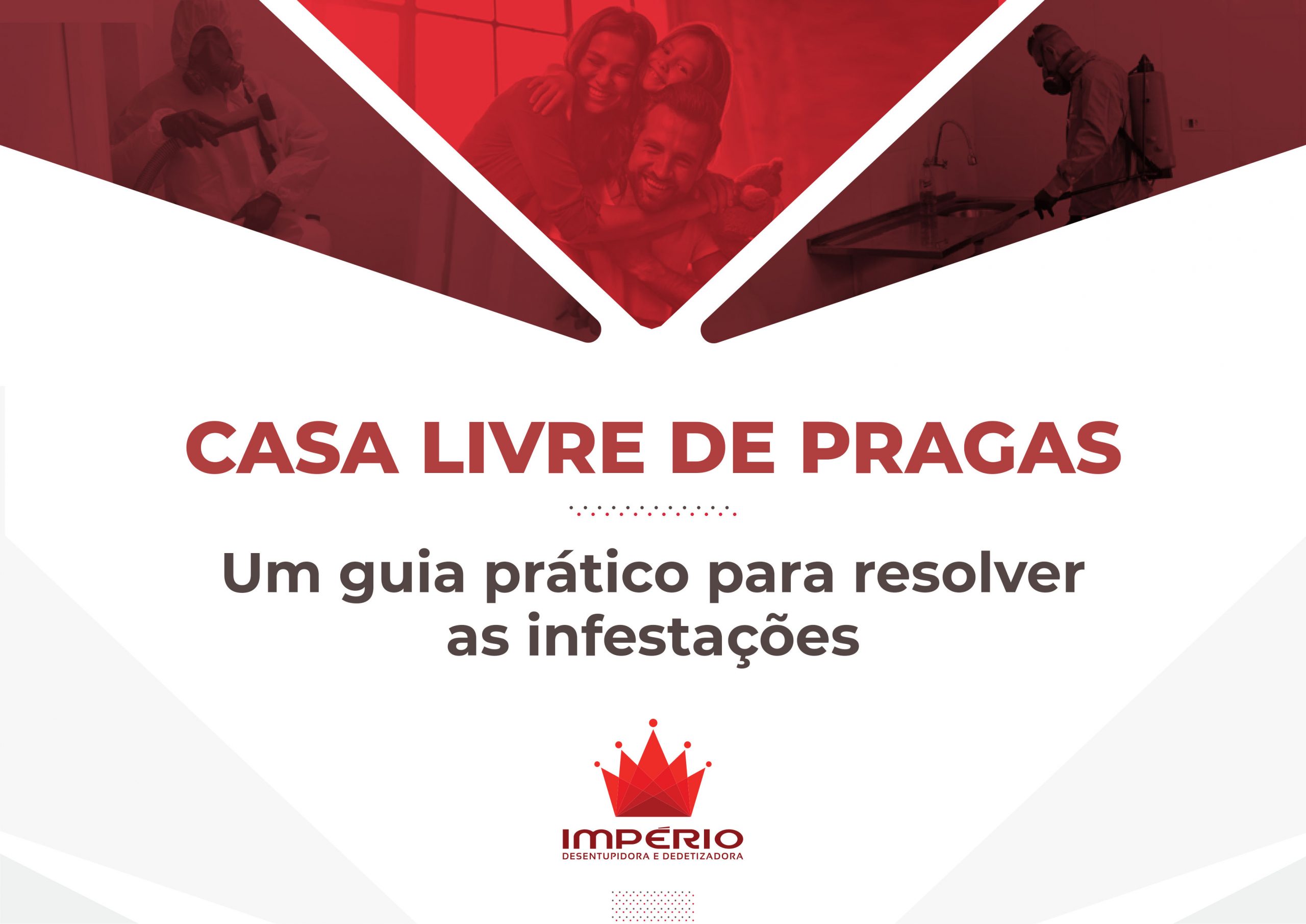 Casa livre de pragas: Um guia prático para resolver infestações