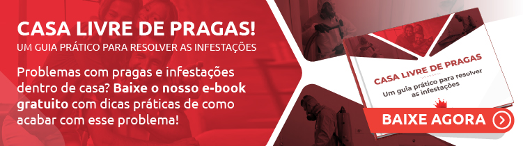 Casa livre de pragas! Um guia prático para resolver as infestações