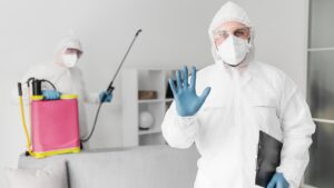 5 sinais de infestações de pragas urbanas no imóvel